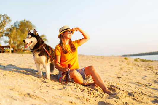 Reisen mit Hund: Deine Packliste für einen entspannten Urlaub
