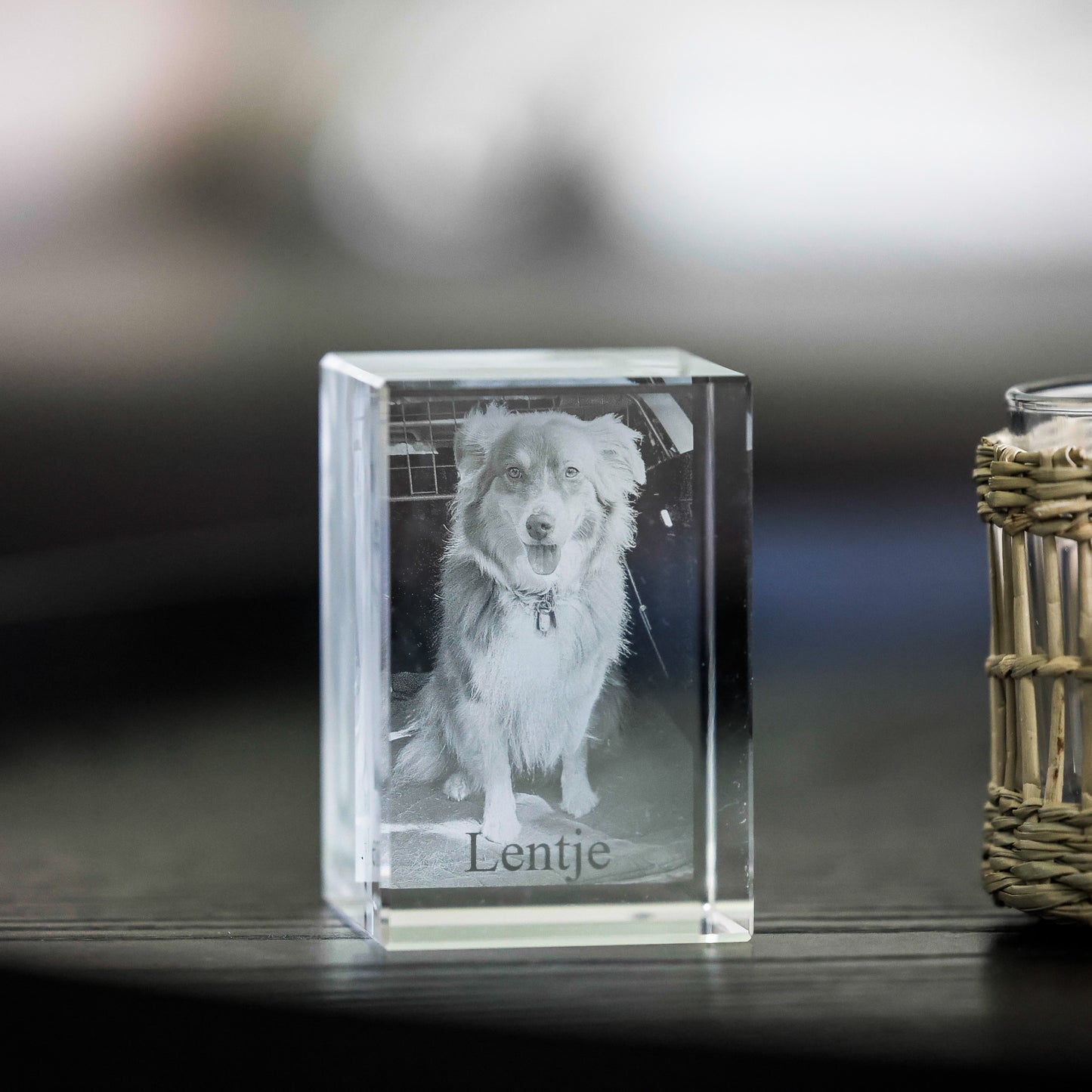 2D oder 3D Glasblock Foto als Portrait