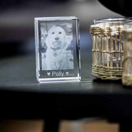 2D oder 3D Glasblock Foto als Portrait