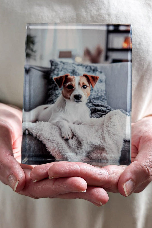 Fotodruck auf Glasframe mit Clarisso Sockel weiß