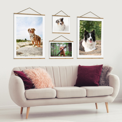 Persönliches Leinwandfoto mit Magnetleiste