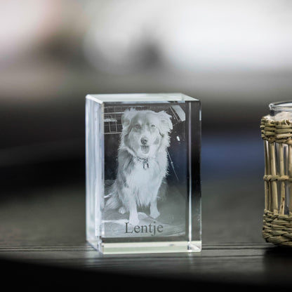 2D oder 3D Glasblock Foto als Portrait