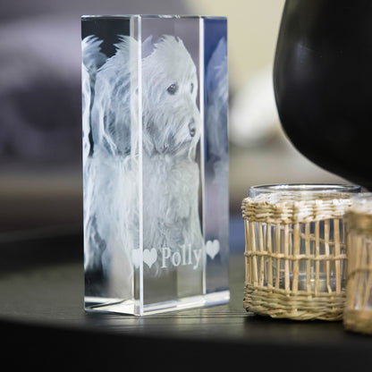 2D oder 3D Glasblock Foto als Portrait