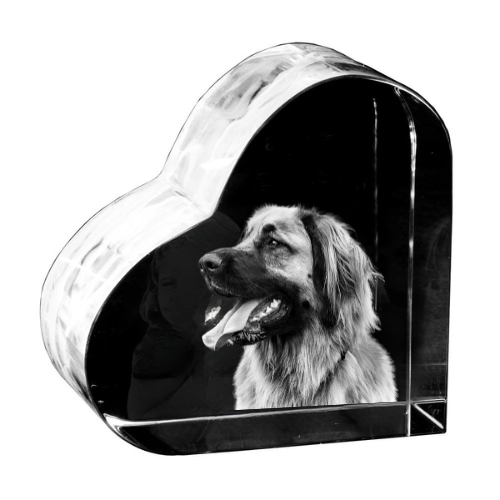 3D Foto im Glasherz
