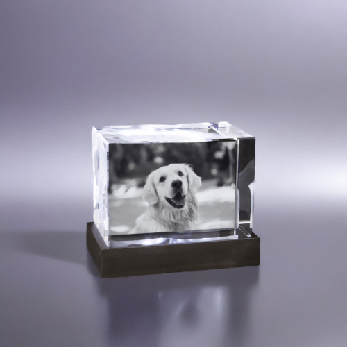 2D oder 3D Glasblock Foto als Portrait
