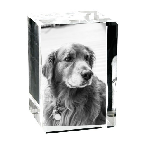 2D oder 3D Glasblock Foto als Portrait