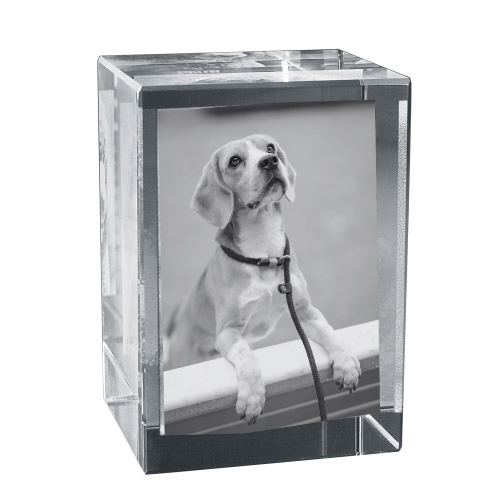 2D oder 3D Glasblock Foto als Portrait