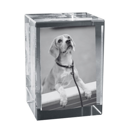 2D oder 3D Glasblock Foto als Portrait