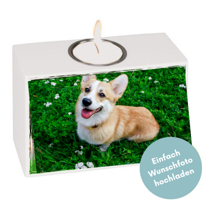 Bild Hund Foto Teelichthalter