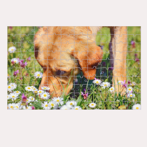 Foto Puzzle