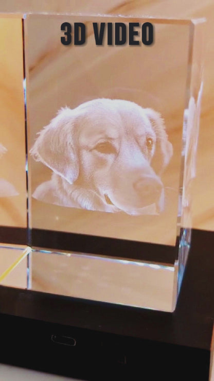 2D oder 3D Glasblock Foto als Portrait